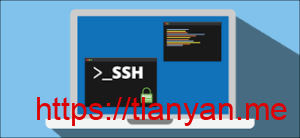 SSH和Shadowsocks是如何防止中间人攻击的？